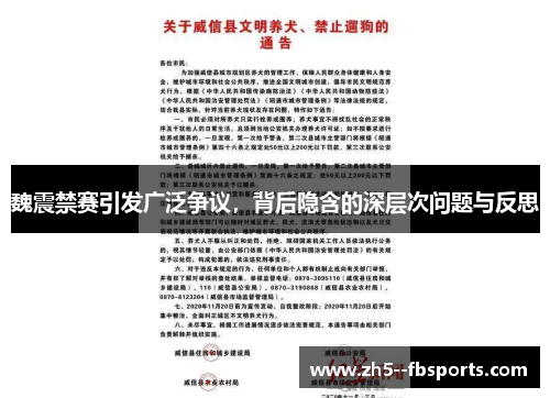 魏震禁赛引发广泛争议，背后隐含的深层次问题与反思