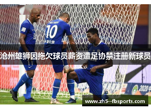 沧州雄狮因拖欠球员薪资遭足协禁注册新球员